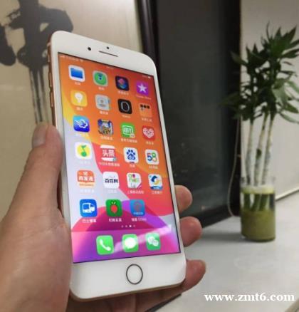 正品国行256g苹果8Plus 正品国行256g苹果8Plus